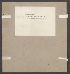 Archiwum prof. Józefa Kostrzewskiego. Teka 21, Wielkopolska