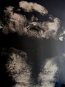 Autoportret; Self-portrait