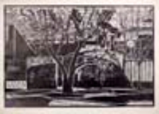 Zielona Góra (linoryt)