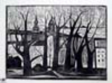 Zielona Góra (linoryt)