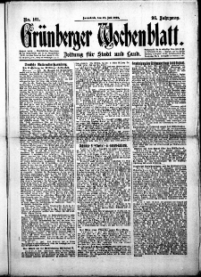 Gr&uuml;nberger Wochenblatt: Zeitung f&uuml;r Stadt und Land, No.161. ( 12. Juli 1919 )