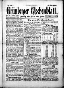 Gr&uuml;nberger Wochenblatt: Zeitung f&uuml;r Stadt und Land, No.163. ( 15. Juli 1919 )