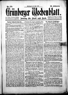 Gr&uuml;nberger Wochenblatt: Zeitung f&uuml;r Stadt und Land, No.175. ( 29. Juli 1919 )