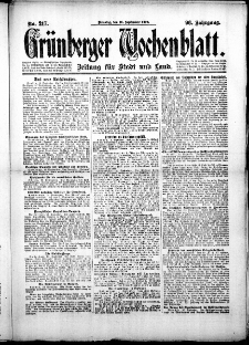 Gr&uuml;nberger Wochenblatt: Zeitung f&uuml;r Stadt und Land, No.217. ( 16. September 1919 )