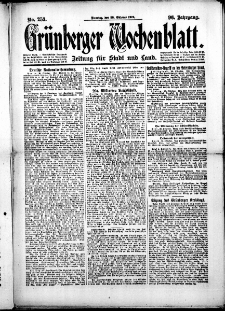 Gr&uuml;nberger Wochenblatt: Zeitung f&uuml;r Stadt und Land, No.253. ( 28. Oktober 1919 )