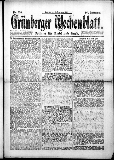 Gr&uuml;nberger Wochenblatt: Zeitung f&uuml;r Stadt und Land, No.270. ( 16. November 1919 )