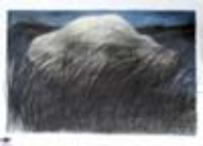 natura...g&oacute;ra...kultura (1)