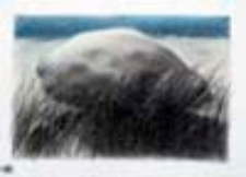 natura...g&oacute;ra...kultura II (2)