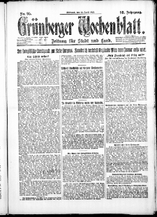 Gr&uuml;nberger Wochenblatt: Zeitung f&uuml;r Stadt und Land, No. 95. ( 25. April 1923 )