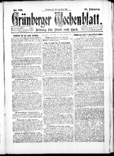 Gr&uuml;nberger Wochenblatt: Zeitung f&uuml;r Stadt und Land, No. 262. ( 20. November 1923 )