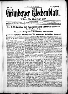 Grünberger Wochenblatt: Zeitung für Stadt und Land, No. 69. (10. Juni 1913)