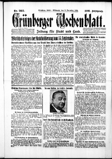 Grünberger Wochenblatt: Zeitung für Stadt und Land, No. 295. ( 17. Dezember 1930 )