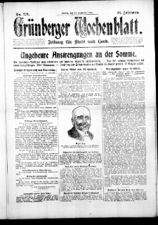 Gr&uuml;nberger Wochenblatt: Zeitung f&uuml;r Stadt und Land, No. 229. (29. September 1916)