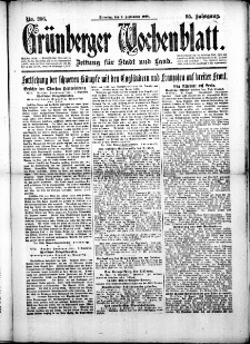 Grünberger Wochenblatt: Zeitung für Stadt und Land, No. 206. (3. September 1918)