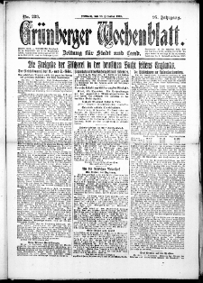 Grünberger Wochenblatt: Zeitung für Stadt und Land, No. 296. (18. Dezember 1918)
