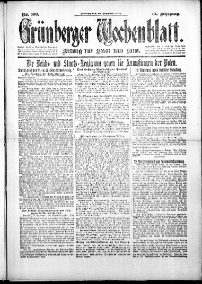Grünberger Wochenblatt: Zeitung für Stadt und Land, No. 300. (22. Dezember 1918)