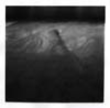 Bez tytułu (The Secret Performance)