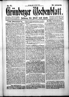 Gr&uuml;nberger Wochenblatt: Zeitung f&uuml;r Stadt und Land, No. 95. (23. April 1920)