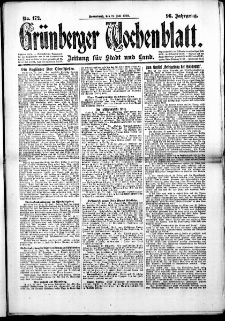 Gr&uuml;nberger Wochenblatt: Zeitung f&uuml;r Stadt und Land, No. 172. (24. Juli 1920)