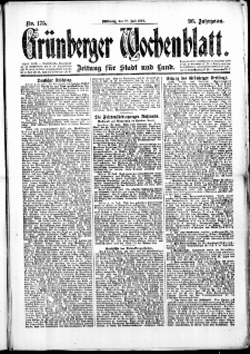Gr&uuml;nberger Wochenblatt: Zeitung f&uuml;r Stadt und Land, No. 175. (28. Juli 1920)