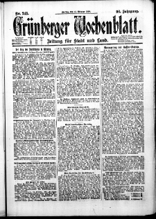 Grünberger Wochenblatt: Zeitung für Stadt und Land, No. 243. (15. Oktober 1920)
