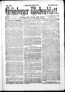 Grünberger Wochenblatt: Zeitung für Stadt und Land, No. 245. (17. Oktober 1920)