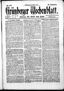 Grünberger Wochenblatt: Zeitung für Stadt und Land, No. 247. (20. Oktober 1920)