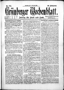 Grünberger Wochenblatt: Zeitung für Stadt und Land, No. 251. (24. Oktober 1920)