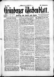 Grünberger Wochenblatt: Zeitung für Stadt und Land, No. 294. (15. Dezember 1920)