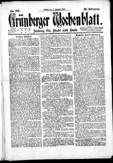 Grünberger Wochenblatt: Zeitung für Stadt und Land, No. 296. (17. Dezember 1920)