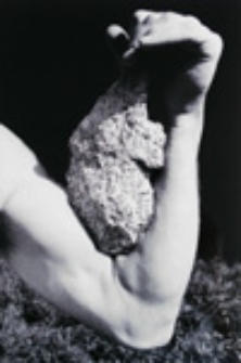 Obiekt nietrwały; Impermanent object