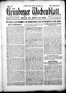Grünberger Wochenblatt: Zeitung für Stadt und Land, Nr. 43. (20. Februar 1925)