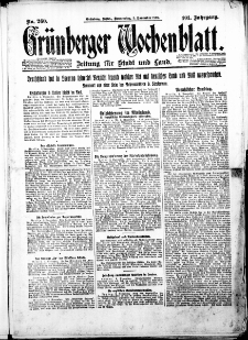 Grünberger Wochenblatt: Zeitung für Stadt und Land, Nr. 260. (5. November 1925)