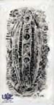 [Bez tytułu] (ilustracje do wierszy Romualda Szury "Sosnowe klawisze" [2])