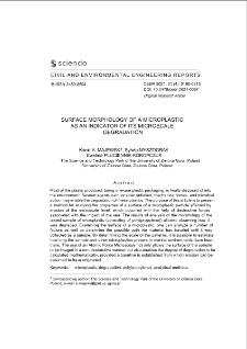Surface Morphology of a Microplastic as an Indicator of Its Microscale Degradation