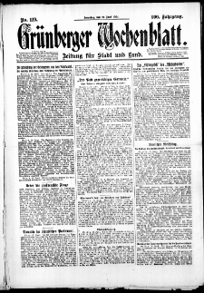 Gr&uuml;nberger Wochenblatt: Zeitung f&uuml;r Stadt und Land, No. 119. (29. Juni 1924)