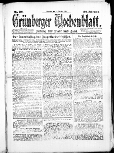 Gr&uuml;nberger Wochenblatt: Zeitung f&uuml;r Stadt und Land, No. 210. (14. Oktober 1924)