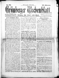 Gr&uuml;nberger Wochenblatt: Zeitung f&uuml;r Stadt und Land, No. 221. (26. Oktober 1924)