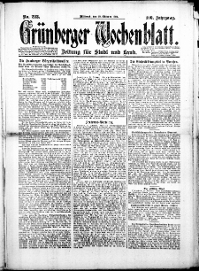 Gr&uuml;nberger Wochenblatt: Zeitung f&uuml;r Stadt und Land, No. 223. (29. Oktober 1924)