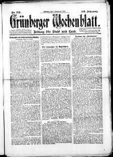 Gr&uuml;nberger Wochenblatt: Zeitung f&uuml;r Stadt und Land, No. 228. (4. November 1924)