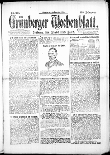 Gr&uuml;nberger Wochenblatt: Zeitung f&uuml;r Stadt und Land, No. 234. (11. November 1924)