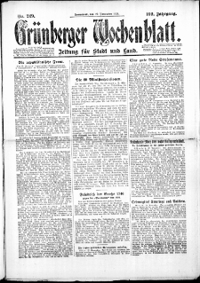 Gr&uuml;nberger Wochenblatt: Zeitung f&uuml;r Stadt und Land, No. 249. (29. November 1924)