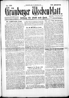 Grünberger Wochenblatt: Zeitung für Stadt und Land, No. 249. (29. November 1924)