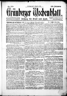 Gr&uuml;nberger Wochenblatt: Zeitung f&uuml;r Stadt und Land, No. 273. (30. Dezember 1924)
