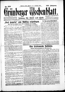 Gr&uuml;nberger Wochenblatt: Zeitung f&uuml;r Stadt und Land, No. 256. (30. Oktober 1928)