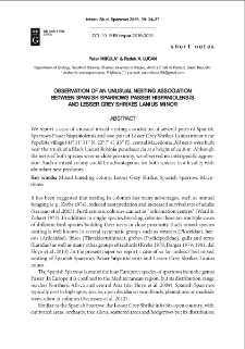 Observation of an unusual nesting association between Spanish Sparrows "Passer hispaniolensis" and Lesser Grey Shrikes "Lanius minor"