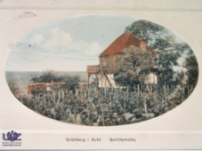 Zielona Góra / Grünberg; Schillerhöhe; okolice ulicy Słowackiego