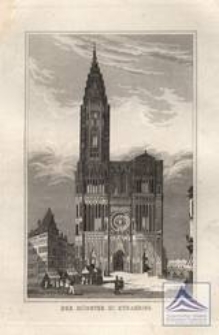 Der Münster zu Strasburg
