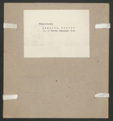 Archiwum prof. Józefa Kostrzewskiego. Teka 22, Wielkopolska