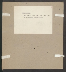 Archiwum prof. Józefa Kostrzewskiego. Teka 26, Wielkopolska